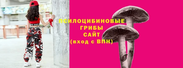 гидропоника Алзамай