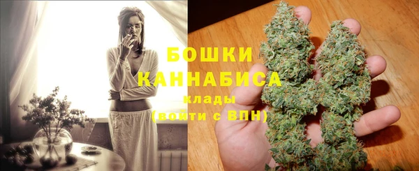 гидропоника Алзамай